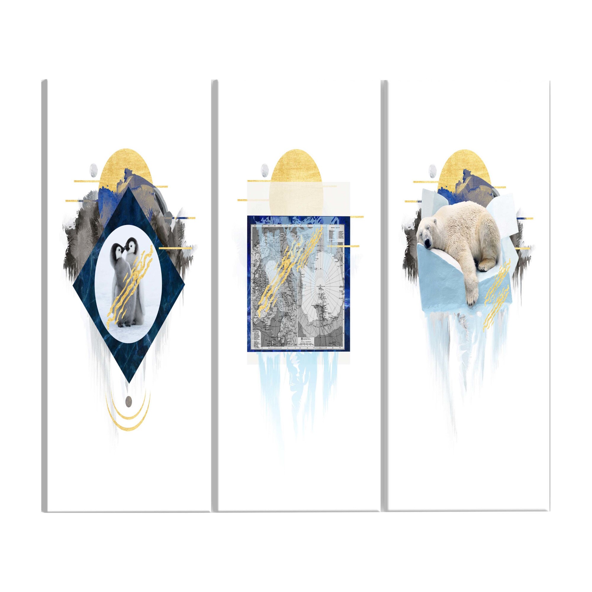 Tablou canvas 3 piese - Antarctica - 60 x 30 cm