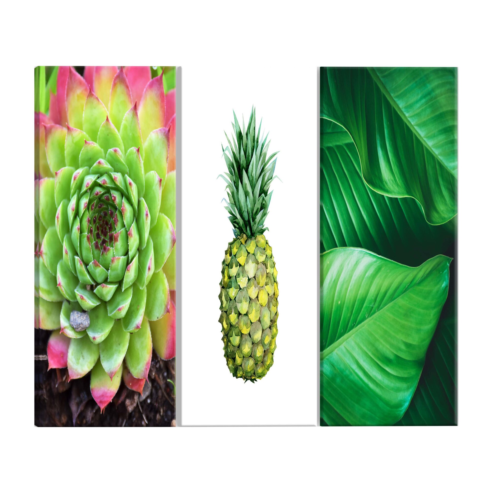 Tablou canvas 3 piese - Comorile Tropicelor - 120 x 60 cm