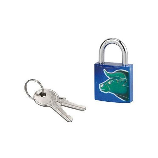 Lacat cu cheie, ASTROLOCK, 30 mm (taur)