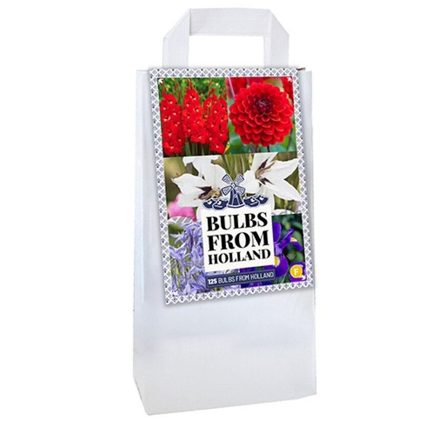 Mix de Vara Bulbs From Holland, Holland, Maxi Pack, 125 buc