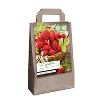 stoloni capsuni fragaria elsanta soi productivitate mare holland 10 buc imagen 2_0_
0