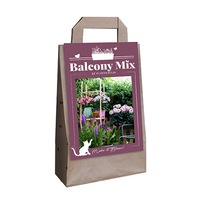 bulbi de vara pentru balcon mix purple saar holland 10 buc imagen 43_0_
0