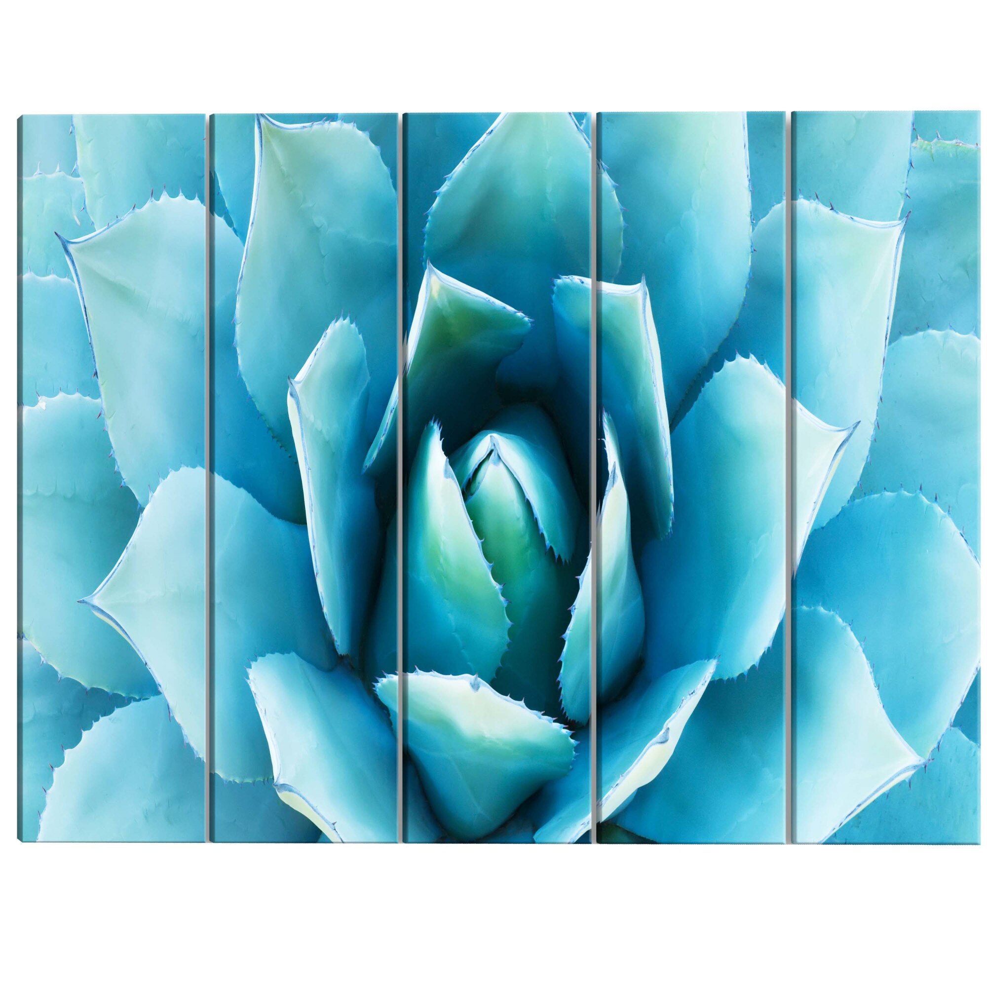 Tablou canvas 5 piese - Agava 1 - 200 x 80 cm