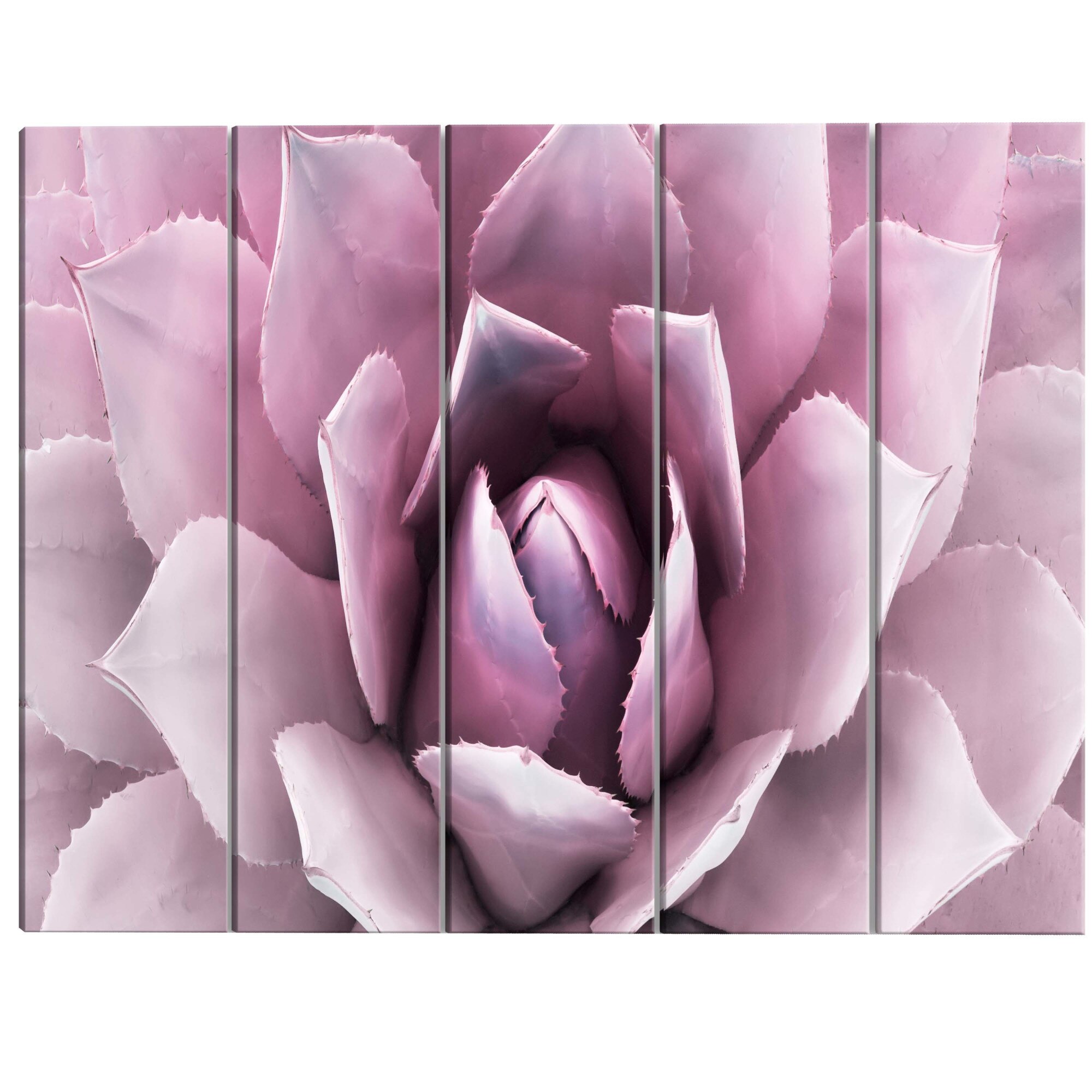 Tablou canvas 5 piese - Agava 2 - 200 x 80 cm