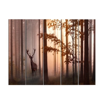 Tablou canvas 5 piese - Dimineata 1 - 200 x 80 cm Tablou canvas 5 piese - Dimineata 1 - 200 x 80 cm