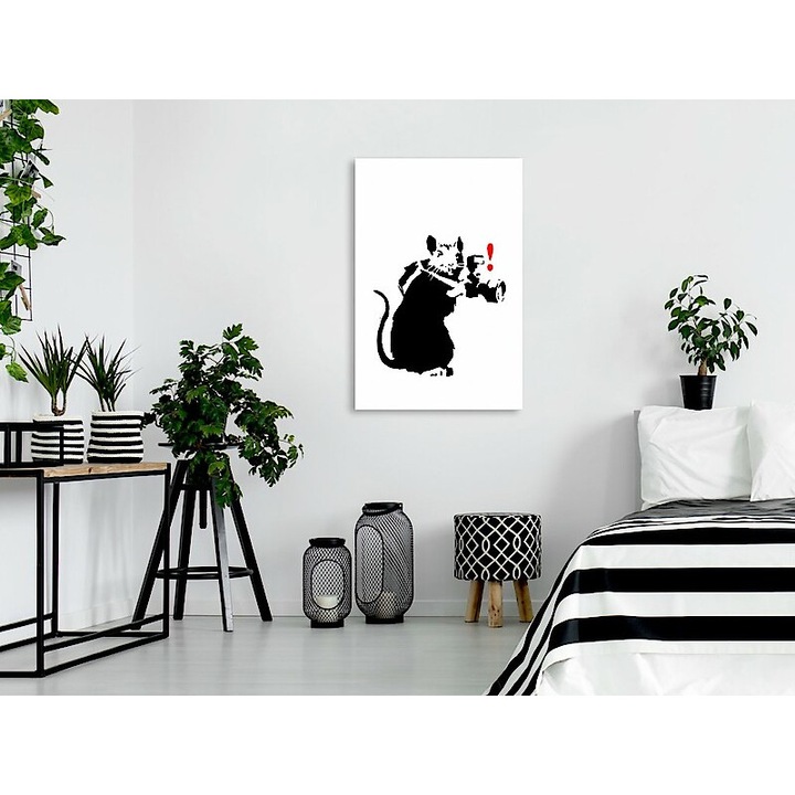 Kép - Fotós patkány 40x60