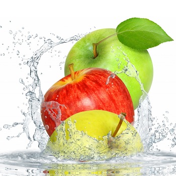 Panou decorativ din sticla securizata pentru bucatarie, protectie aragaz, antistropire, sticla securizata 6mm, Print UV, octopus, imprimata Multicolor, 600mmx600mm oct106-60x60 Panou decorativ din sticla securizata pentru bucatarie, protectie aragaz, antistropire, sticla securizata 6mm, Print UV, octopus, imprimata Multicolor, 600mmx600mm oct106-60x60