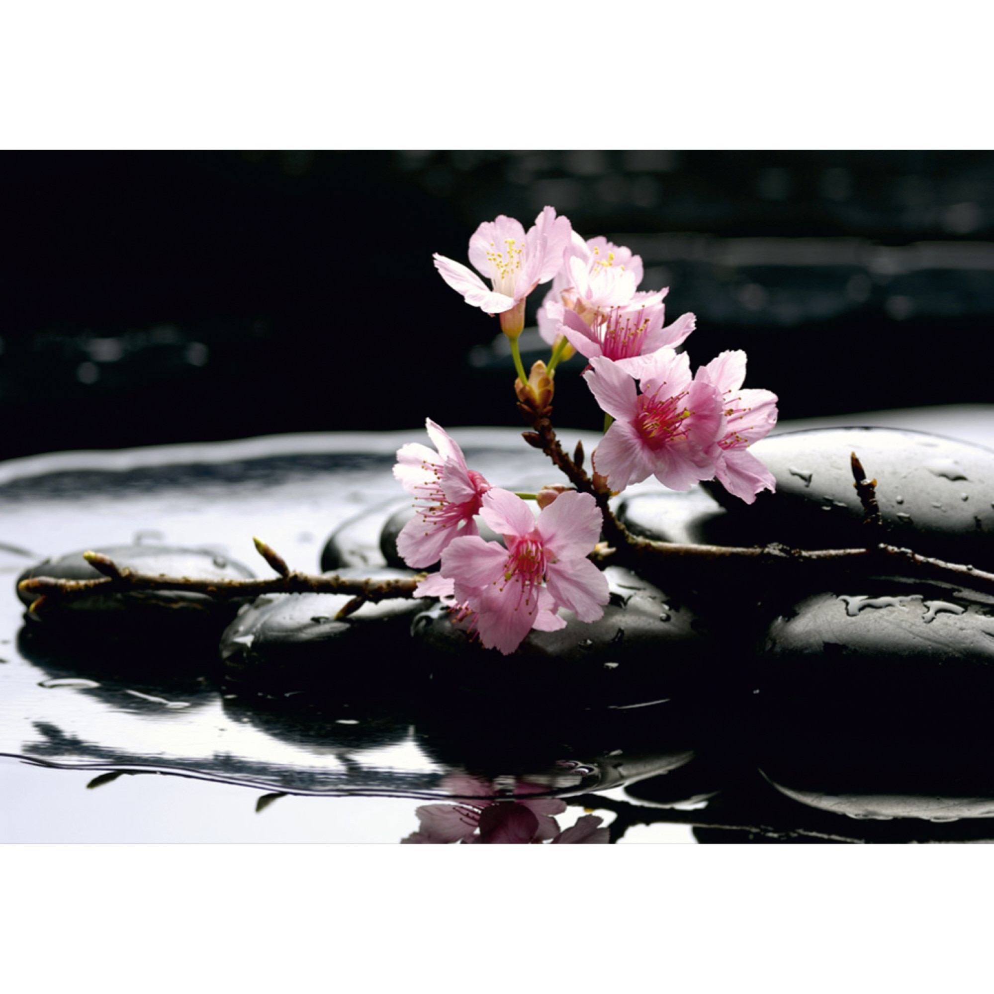 Fototapet AG Design FTS0185, Zen 360 x 254 cm