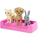 Set de joaca Papusa Barbie si gradinita de animale domestice, creola, 3 ani+