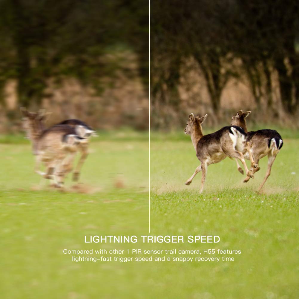 Trail Cam Camara Apeman H55 Camera De Vanatoare Apeman H55 Senzor