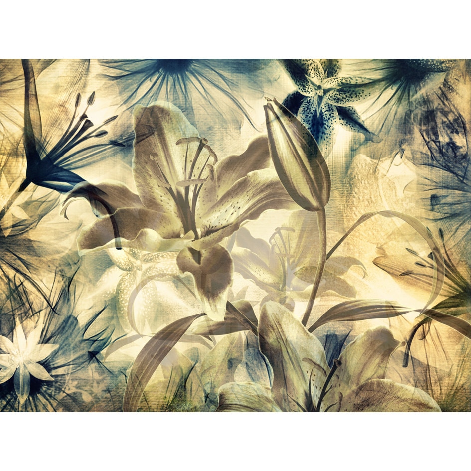 Fototapet AG Design FTS0132, x-ray flowers 360 x 254 cm