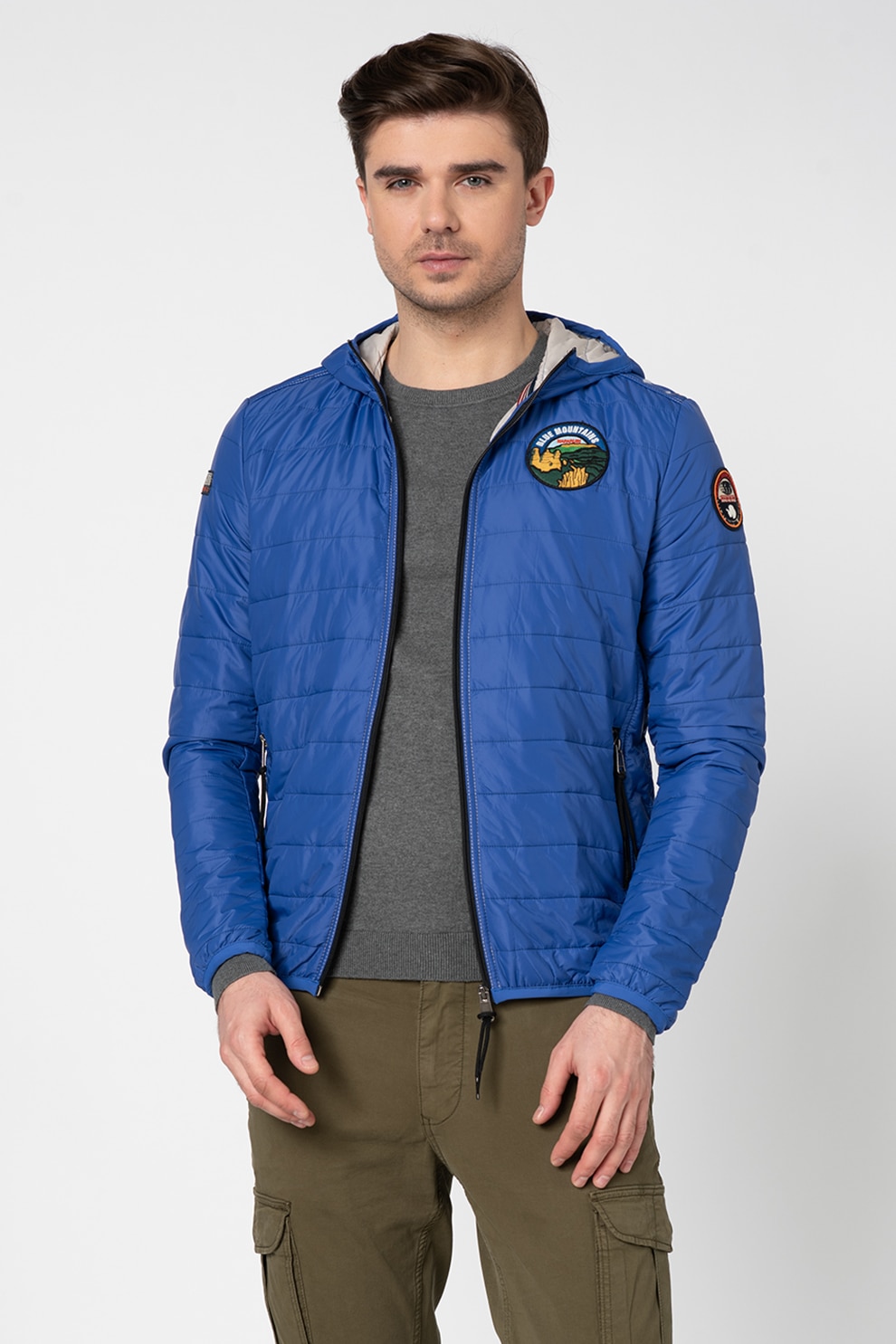 Napapijri, Jacheta slim fit cu broderie logo Aric Sum, Albastru royal