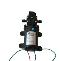 Pompa de presiune pentru pompa de stropit Pandora