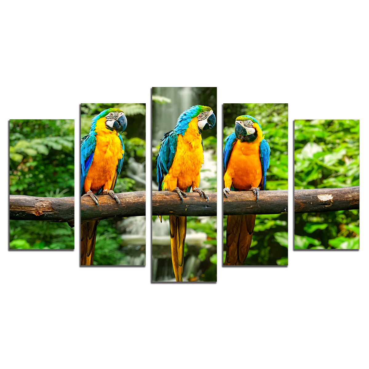 Tablou Multicanvas, 5 Piese, Papagalul, 158х90 cm