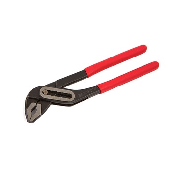 Cleste papagal, 200 mm Cleste papagal, 200 mm