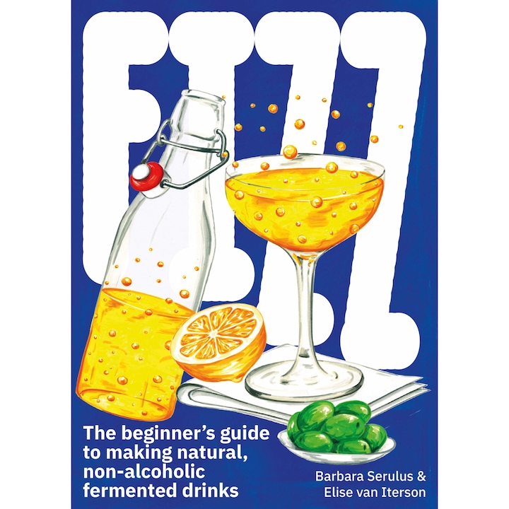 FIZZ: The Beginners Guide to Making Natural, Non-Alcoholic Fermented Drinks - Barbara Serulus