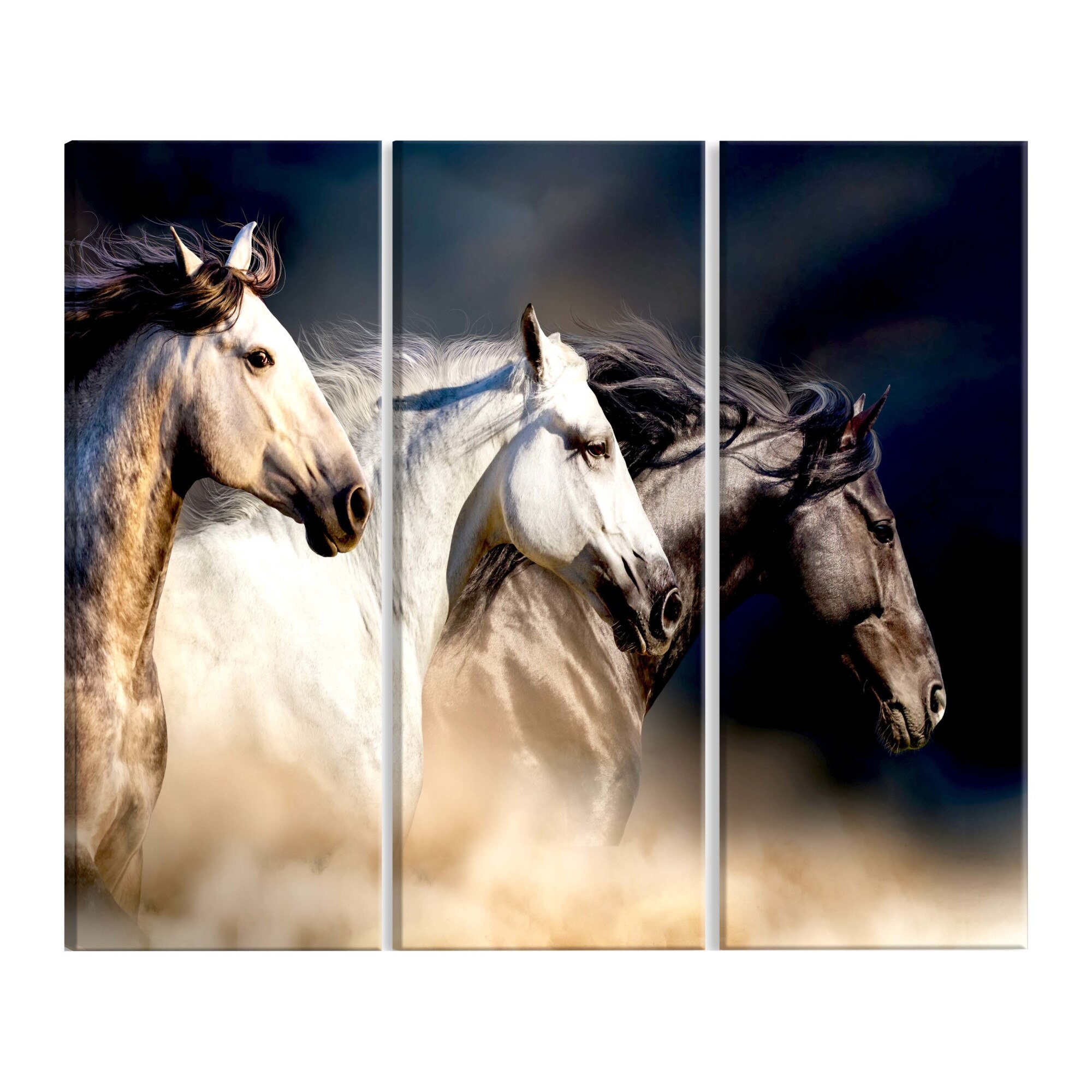 Tablou canvas, 3 piese, Fiii vantului, 120 x 80 cm