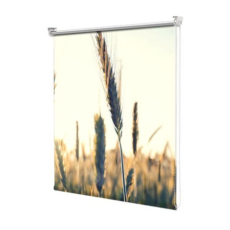 Rolete Art Shade Tip Jaluzele Cu Rulou Si Sistem Inclus Spice De Grau Decoratiuni Latime 65 Cm X Inaltime 190 Cm Emag Ro