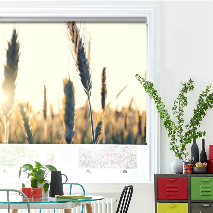 Rolete Art Shade tip Jaluzele cu Rulou si sistem inclus, Spice de grau, Decoratiuni, Latime 110 cm x Inaltime 250 cm