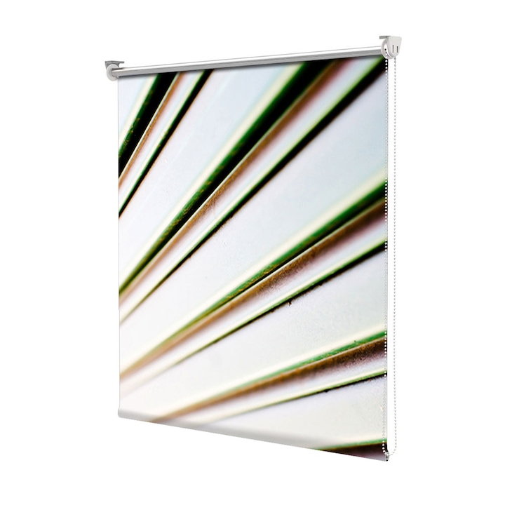 Rolete Art Shade tip Jaluzele cu Rulou si sistem inclus, Raze, Decoratiuni, Latime 50 cm x Inaltime 130 cm