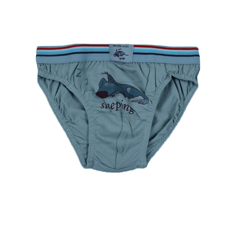 Chiloti pentru baieti Sevim SVM-6, Gri, 116