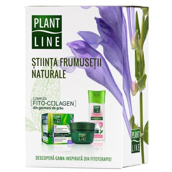 Set ingrijire fata Plant Line: Crema de zi antirid 55+, 45 ml + Crema de noapte antirid 55+, 45 ml + Apa micelara pentru toate tipurile de ten, 100 ml Set ingrijire fata Plant Line: Crema de zi antirid 55+, 45 ml + Crema de noapte antirid 55+, 45 ml + Apa micelara pentru toate tipurile de ten, 100 ml