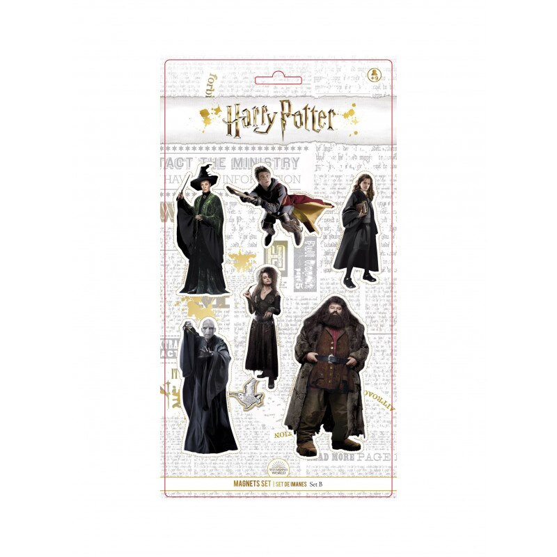 Set 6 Magneti Frigider Harry Potter Characters M2