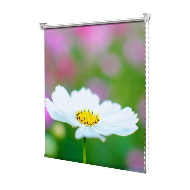 Rolete Art Shade tip Jaluzele cu Rulou si sistem inclus, Alb imaculat, Decoratiuni, Latime 110 cm x Inaltime 190 cm
