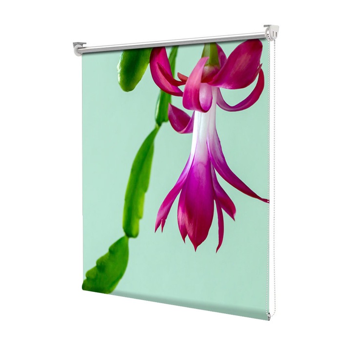 Rolete Art Shade tip Jaluzele cu Rulou si sistem inclus, Cactus de craciun, Decoratiuni, Latime 90 cm x Inaltime 130 cm