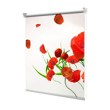Rolete Art Shade tip Jaluzele cu Rulou si sistem inclus, Maci in vant, Decoratiuni, Latime 105 cm x Inaltime 190 cm Rolete Art Shade tip Jaluzele cu Rulou si sistem inclus, Maci in vant, Decoratiuni, Latime 105 cm x Inaltime 190 cm