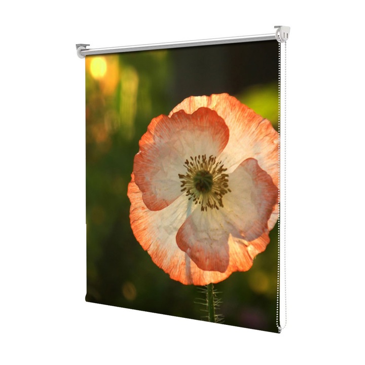 Rolete Art Shade tip Jaluzele cu Rulou si sistem inclus, Floare de mac inflorita, Decoratiuni, Latime 65 cm x Inaltime 250 cm