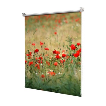 Rolete Art Shade tip Jaluzele cu Rulou si sistem inclus, Camp cu maci, Decoratiuni, Latime 50 cm x Inaltime 130 cm Rolete Art Shade tip Jaluzele cu Rulou si sistem inclus, Camp cu maci, Decoratiuni, Latime 50 cm x Inaltime 130 cm