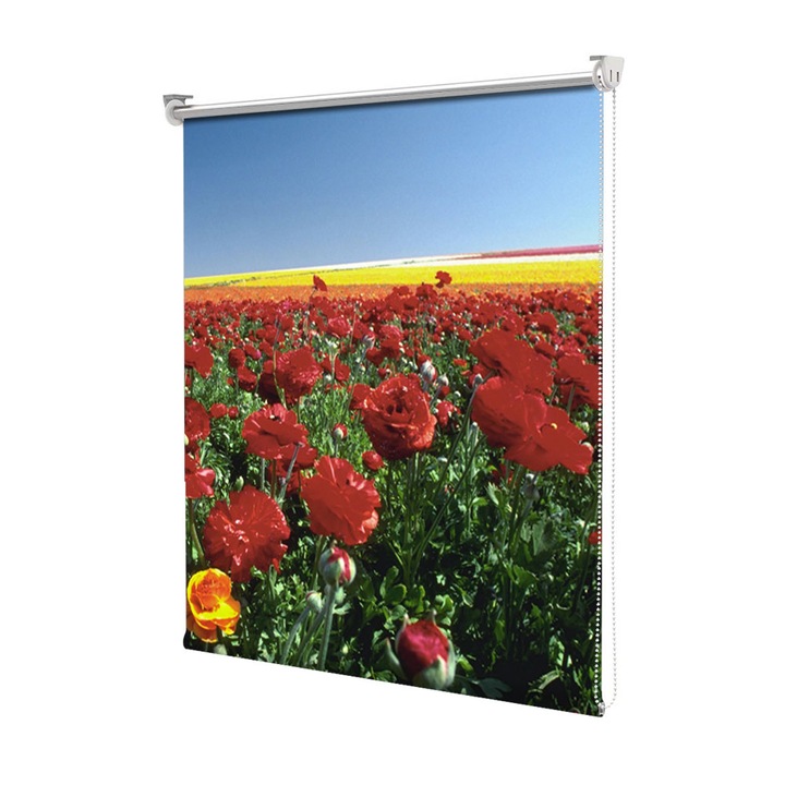 Rolete Art Shade tip Jaluzele cu Rulou si sistem inclus, Camp colorat cu flori de vara, Decoratiuni, Latime 85 cm x Inaltime 130 cm