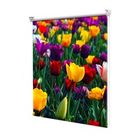 rolete art shade tip jaluzele cu rulou si sistem inclus paleta de culori decoratiuni latime 55 cm x inaltime 130 cm imagen 3_0_
0