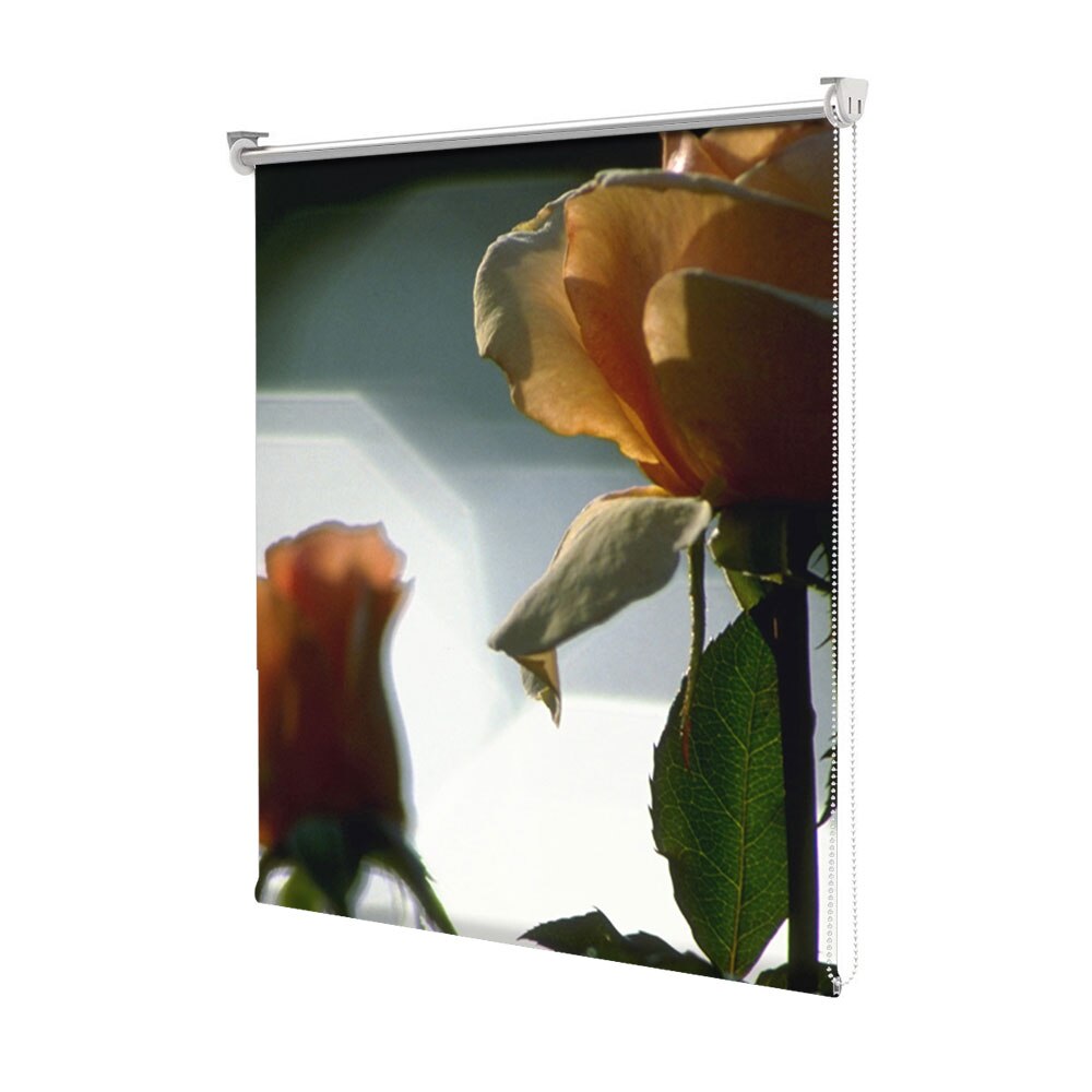 Rolete Art Shade tip Jaluzele cu Rulou si sistem inclus, Sedinta foto, Decoratiuni, Latime 85 cm x Inaltime 250 cm