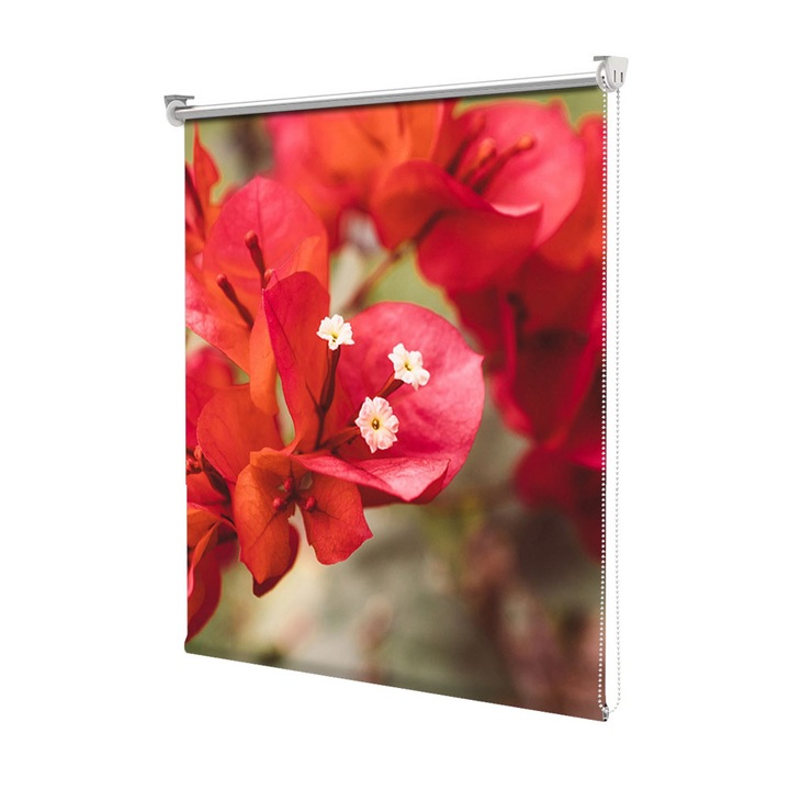 Rolete Art Shade tip Jaluzele cu Rulou si sistem inclus, Flori rare, Decoratiuni, Latime 45 cm x Inaltime 130 cm