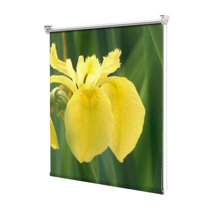 Rolete Art Shade tip Jaluzele cu Rulou si sistem inclus, Galben, Decoratiuni, Latime 55 cm x Inaltime 130 cm