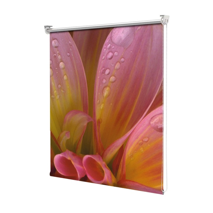 Rolete Art Shade tip Jaluzele cu Rulou si sistem inclus, Petale si roua, Decoratiuni, Latime 60 cm x Inaltime 250 cm