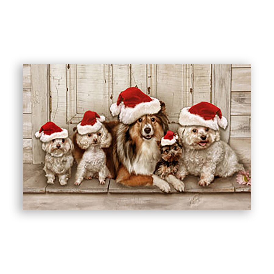 Tablou Canvas - Animal, Caini, Caciula, Craciun, 20 x 30 cm
