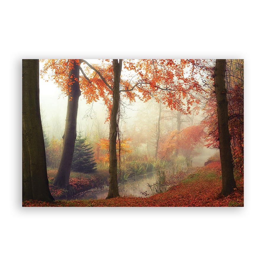 Tablou Canvas - Natura, Peisaj, Padure, Frunze, Ceata, Toamna, 80 x 120 cm