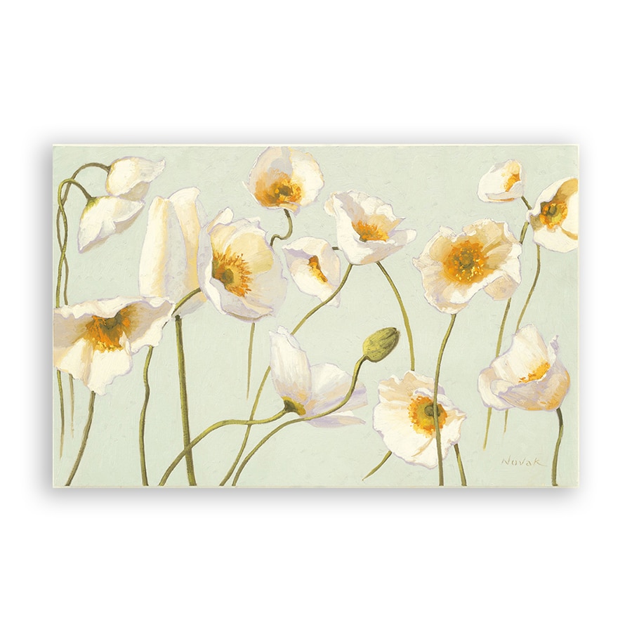 Tablou Canvas - Floral, Flori de maci, Alb, 80 x 120 cm