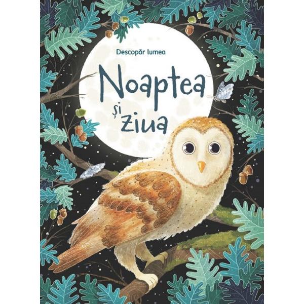 Noaptea si ziua. Descopar lumea - Emily Bone