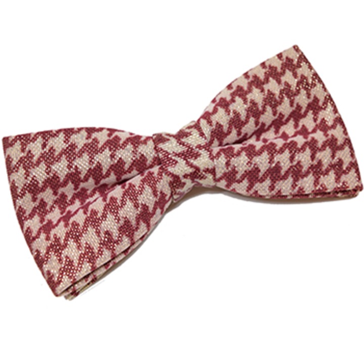 Papion "Alice in Wonderland"