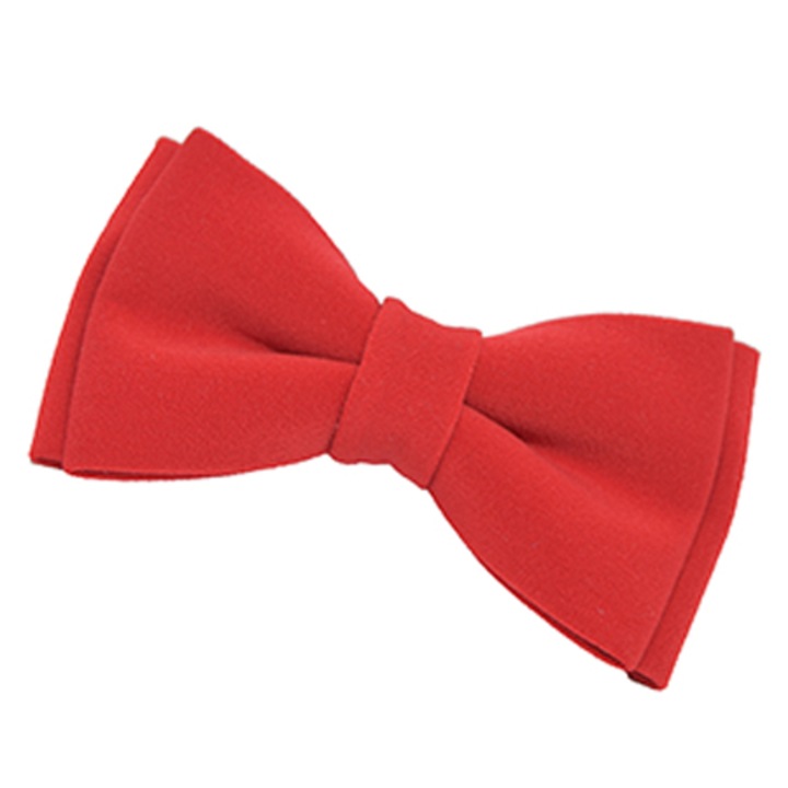 Papion rosu "Little Red Bowtie"