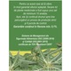 Ghimpe, ceai, 20 pliculete