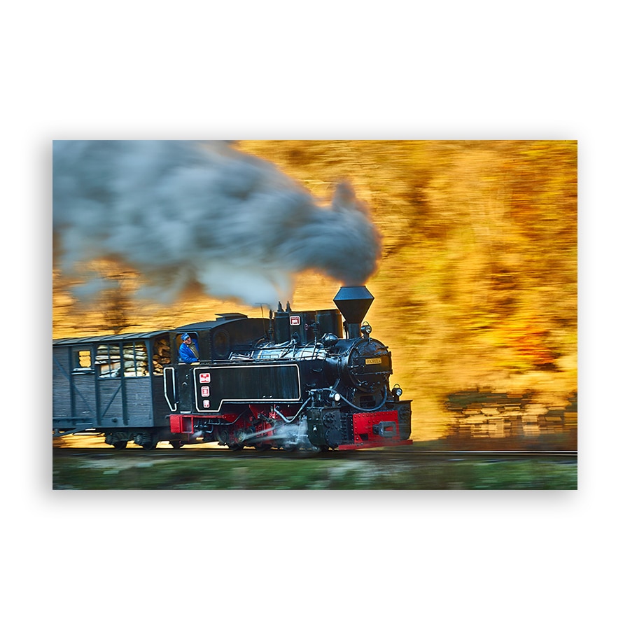 Tablou Canvas - Locomotiva, Natura, Peisaj, Padure, Romania, 20 x 30 cm