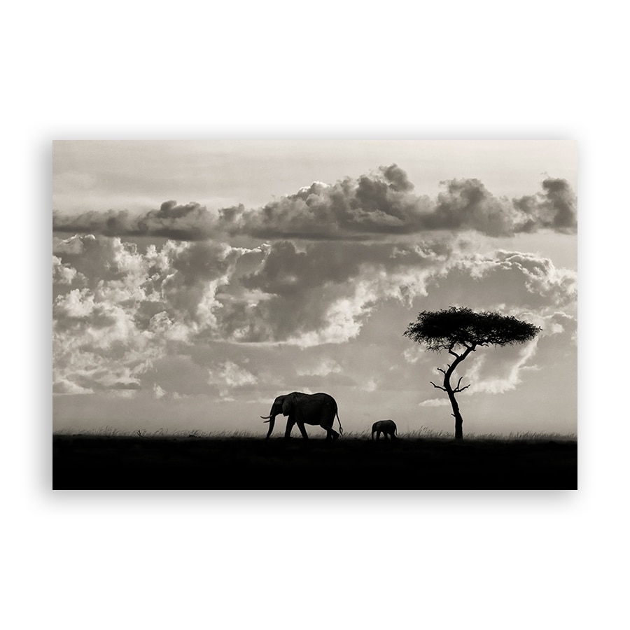 Tablou Canvas - Natura, Peisaj, Animal, Elefant, Africa, 80 x 120 cm