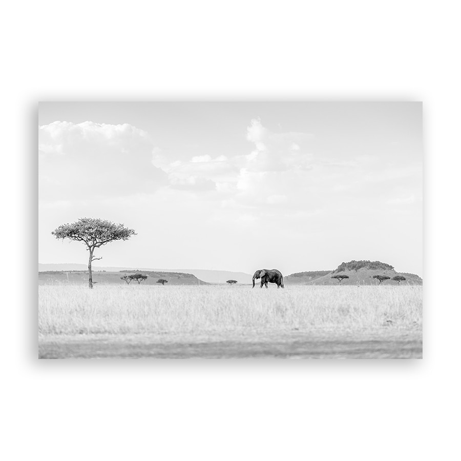 Tablou Canvas - Natura, Peisaj, Africa, Animal, Elefant, 40 x 60 cm