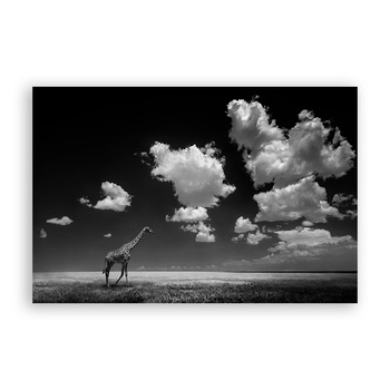 Tablou Canvas - Natura, Peisaj, Animal, Girafa, Africa, 40 x 60 cm Tablou Canvas - Natura, Peisaj, Animal, Girafa, Africa, 40 x 60 cm