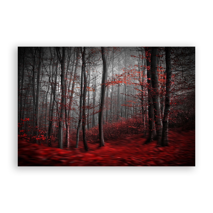 Tablou Canvas - Natura, Peisaj, Padure, Frunze, Toamna, 80 x 120 cm